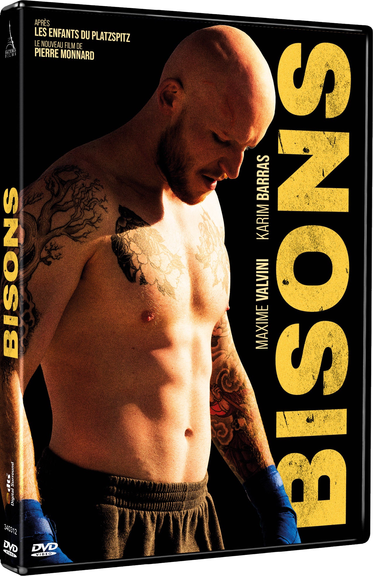 BISONS - DVD - Pré-commande