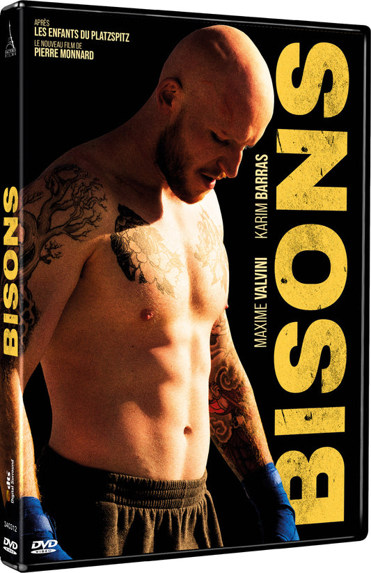 BISONS - DVD - Pré-commande